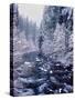 River flowing through snow covered forest, North Santiam River, Willamette National Forest, Lane...-null-Stretched Canvas