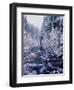 River flowing through snow covered forest, North Santiam River, Willamette National Forest, Lane...-null-Framed Photographic Print