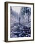 River flowing through snow covered forest, North Santiam River, Willamette National Forest, Lane...-null-Framed Photographic Print