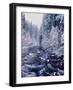 River flowing through snow covered forest, North Santiam River, Willamette National Forest, Lane...-null-Framed Photographic Print