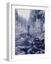 River flowing through snow covered forest, North Santiam River, Willamette National Forest, Lane...-null-Framed Photographic Print