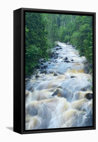 River Flowing through the Woods-herreid-Framed Stretched Canvas