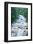 River Flowing through the Woods-herreid-Framed Photographic Print