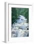 River Flowing through the Woods-herreid-Framed Photographic Print