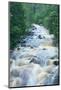 River Flowing through the Woods-herreid-Mounted Photographic Print