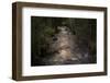 River flows through to the forest in the evening light-Paivi Vikstrom-Framed Photographic Print