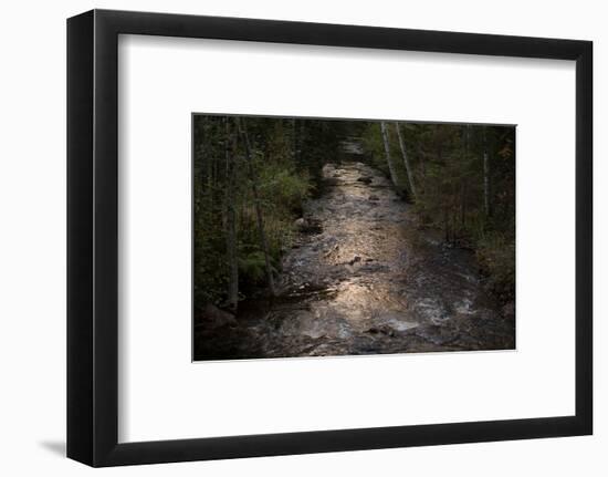 River flows through to the forest in the evening light-Paivi Vikstrom-Framed Photographic Print