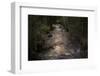 River flows through to the forest in the evening light-Paivi Vikstrom-Framed Photographic Print