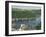 River Fowey and Forest Area of Hall Walk, Q Monument Visible Through Trees, Cornwall, England-Ken Gillham-Framed Photographic Print