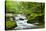 River Fowey, Goliath Falls, Looe, Cornwall, England, United Kingdom, Europe-Kav Dadfar-Stretched Canvas