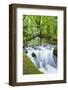 River Fowey, Goliath Falls, Looe, Cornwall, England, United Kingdom, Europe-Kav Dadfar-Framed Photographic Print