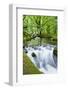 River Fowey, Goliath Falls, Looe, Cornwall, England, United Kingdom, Europe-Kav Dadfar-Framed Photographic Print