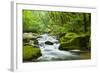 River Fowey, Goliath Falls, Looe, Cornwall, England, United Kingdom, Europe-Kav Dadfar-Framed Photographic Print