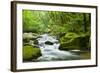 River Fowey, Goliath Falls, Looe, Cornwall, England, United Kingdom, Europe-Kav Dadfar-Framed Photographic Print