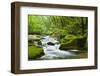 River Fowey, Goliath Falls, Looe, Cornwall, England, United Kingdom, Europe-Kav Dadfar-Framed Photographic Print