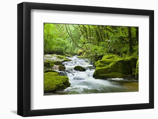 River Fowey, Goliath Falls, Looe, Cornwall, England, United Kingdom, Europe-Kav Dadfar-Framed Photographic Print