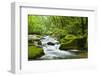 River Fowey, Goliath Falls, Looe, Cornwall, England, United Kingdom, Europe-Kav Dadfar-Framed Photographic Print