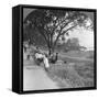 River Front and Bank, Bhamo, Burma, 1908-null-Framed Stretched Canvas
