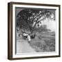 River Front and Bank, Bhamo, Burma, 1908-null-Framed Photographic Print