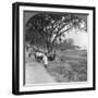 River Front and Bank, Bhamo, Burma, 1908-null-Framed Photographic Print