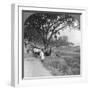 River Front and Bank, Bhamo, Burma, 1908-null-Framed Photographic Print