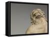 River God, 1755 (Terracotta)-Jean-jacques Caffieri-Framed Stretched Canvas