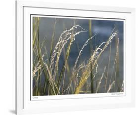 River Grasses I-Joy Doherty-Framed Giclee Print