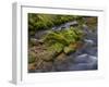 River Grosse Ohe in the Bavarian Forest National Park near Sankt Oswald, Germany, Bavaria.-Martin Zwick-Framed Photographic Print