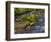 River Grosse Ohe in the Bavarian Forest National Park near Sankt Oswald, Germany, Bavaria.-Martin Zwick-Framed Photographic Print