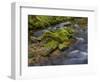 River Grosse Ohe in the Bavarian Forest National Park near Sankt Oswald, Germany, Bavaria.-Martin Zwick-Framed Photographic Print