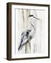 River Heron I-Eva Watts-Framed Art Print