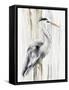 River Heron I-Eva Watts-Framed Stretched Canvas