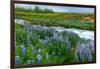 River Hvita Near Laugaras-Catharina Lux-Framed Premium Photographic Print