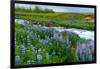 River Hvita Near Laugaras-Catharina Lux-Framed Premium Photographic Print