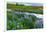River Hvita Near Laugaras-Catharina Lux-Framed Photographic Print