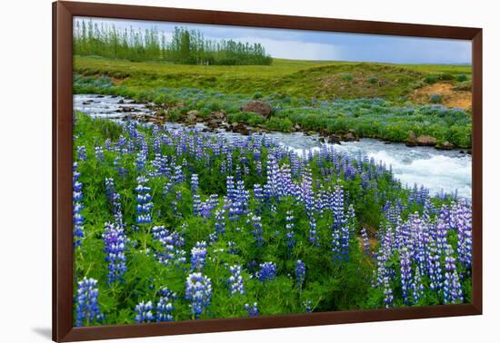 River Hvita Near Laugaras-Catharina Lux-Framed Photographic Print