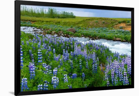 River Hvita Near Laugaras-Catharina Lux-Framed Photographic Print