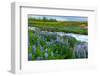 River Hvita Near Laugaras-Catharina Lux-Framed Photographic Print