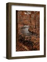 River in autumn woodland habitat, Cross River, Ward Poundridge County Park, Salem-Bob Gibbons-Framed Photographic Print