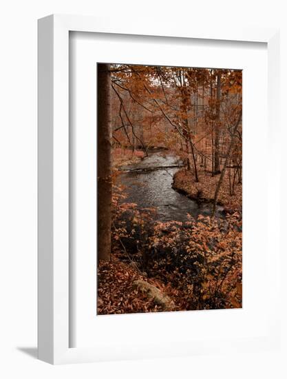 River in autumn woodland habitat, Cross River, Ward Poundridge County Park, Salem-Bob Gibbons-Framed Photographic Print