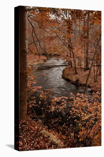 River in autumn woodland habitat, Cross River, Ward Poundridge County Park, Salem-Bob Gibbons-Stretched Canvas