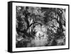 River in Haiti, 19th Century-T Weber-Framed Stretched Canvas