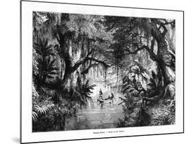 River in Haiti, 19th Century-T Weber-Mounted Giclee Print