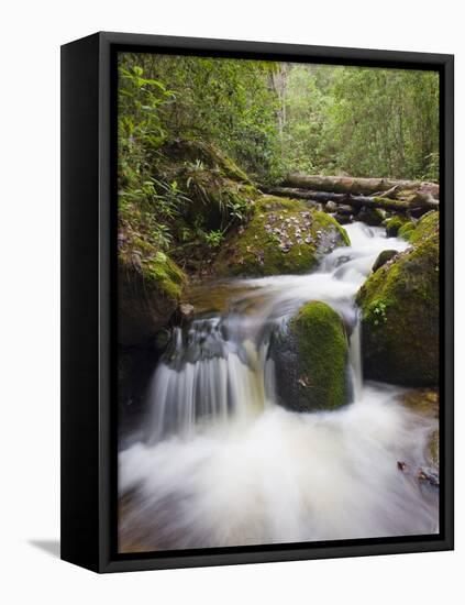 River in Parque Nacional Montana De Celaque, Gracias, Honduras, Central America-Christian Kober-Framed Stretched Canvas