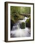 River in Parque Nacional Montana De Celaque, Gracias, Honduras, Central America-Christian Kober-Framed Photographic Print