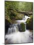 River in Parque Nacional Montana De Celaque, Gracias, Honduras, Central America-Christian Kober-Mounted Photographic Print