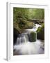 River in Parque Nacional Montana De Celaque, Gracias, Honduras, Central America-Christian Kober-Framed Photographic Print