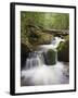 River in Parque Nacional Montana De Celaque, Gracias, Honduras, Central America-Christian Kober-Framed Photographic Print