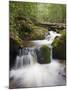 River in Parque Nacional Montana De Celaque, Gracias, Honduras, Central America-Christian Kober-Mounted Photographic Print