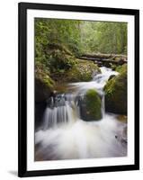 River in Parque Nacional Montana De Celaque, Gracias, Honduras, Central America-Christian Kober-Framed Photographic Print